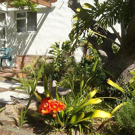 Be My Guest Lodge Блуберґстранд Номер фото